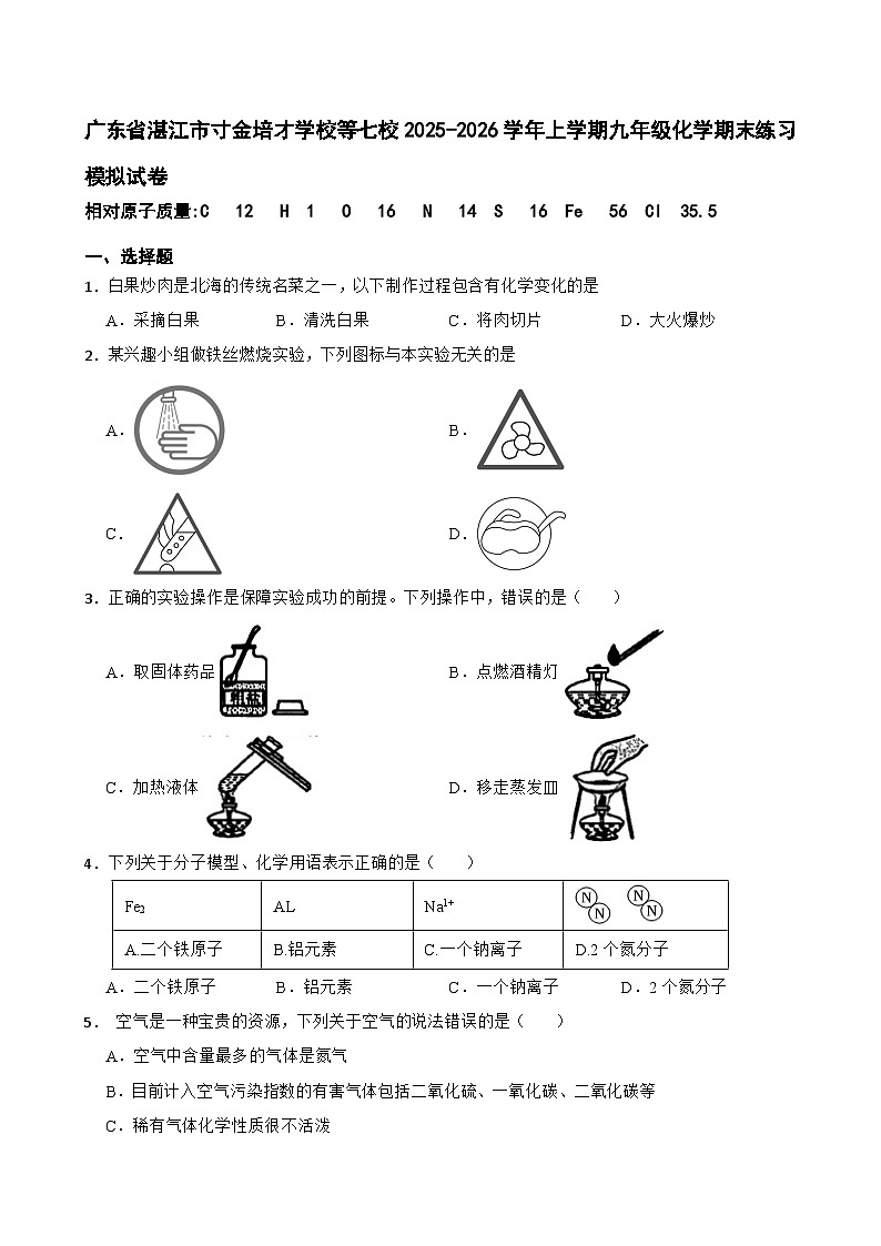 广东省湛江市寸金培才学校等七校2025-2026学年上学期九年级化学期末练习模拟试卷第1页