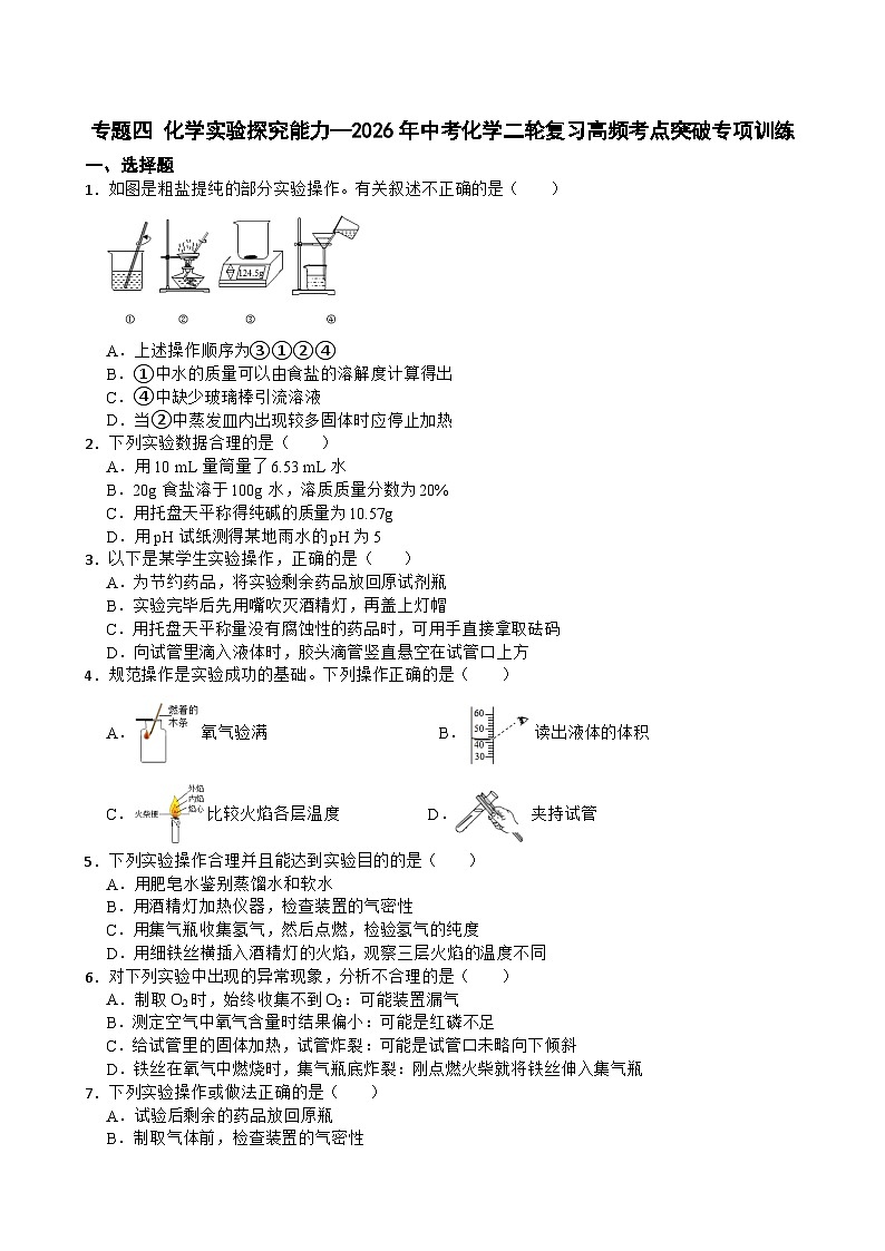 专题四 化学实验探究能力—2026年中考化学二轮复习高频考点突破专项训练+含答案第1页