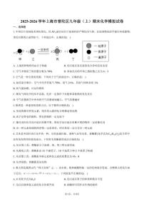 2025-2026学年上海市普陀区九年级（上）期末化学模拟试卷（有答案）