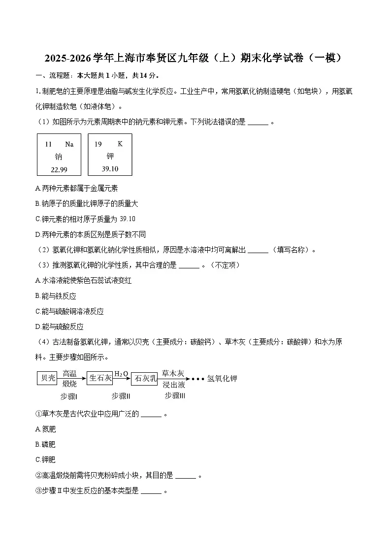 2025-2026学年上海市奉贤区九年级（上）期末化学试卷（一模）-自定义类型第1页