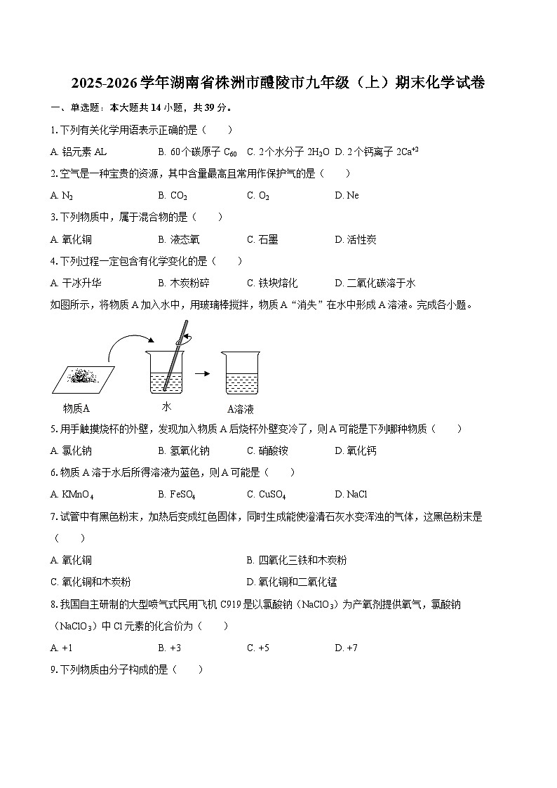 2025-2026学年湖南省株洲市醴陵市九年级（上）期末化学试卷-自定义类型第1页
