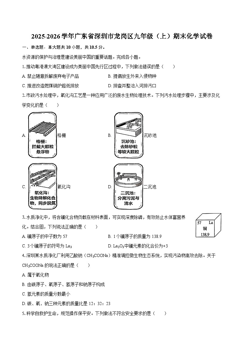 2025-2026学年广东省深圳市龙岗区九年级（上）期末化学试卷-自定义类型第1页