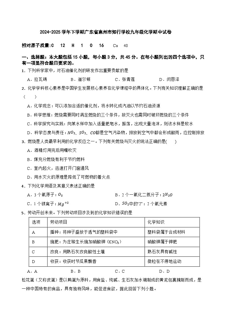 2024-2025学年下学期广东省惠州市知行学校九年级化学期中试卷第1页