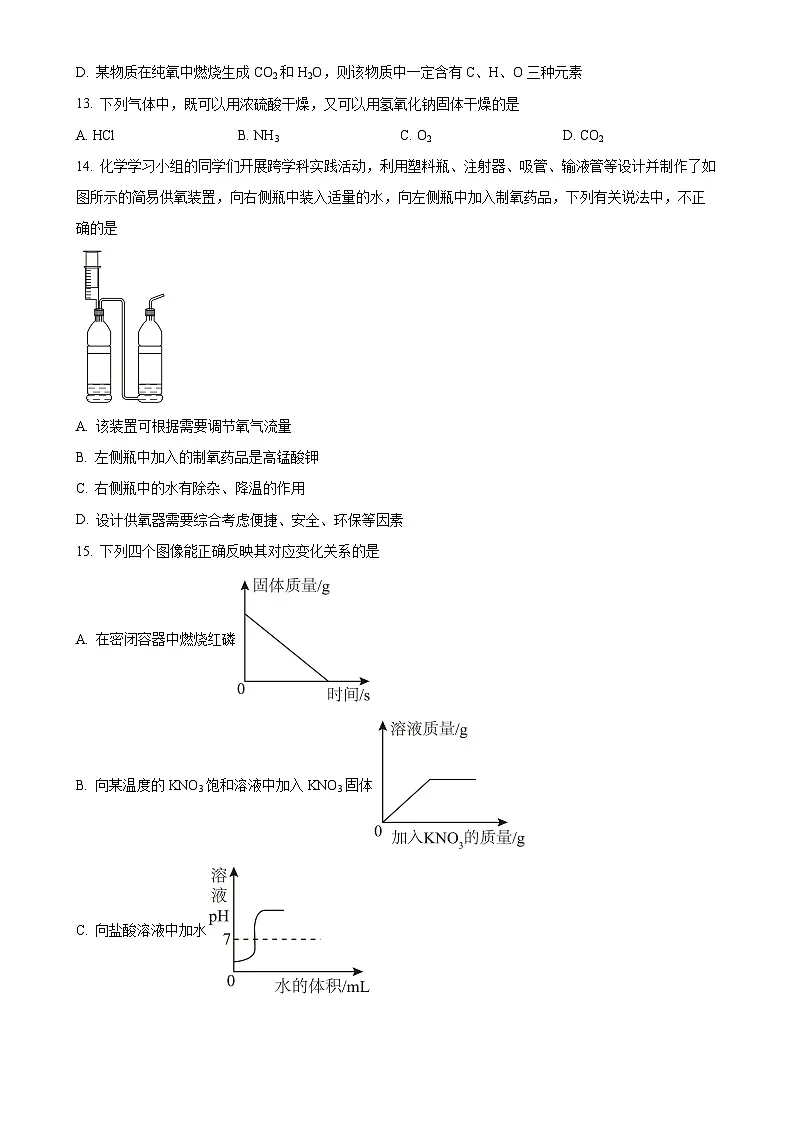 广东省阳江市第一中学实验学校九年级下学期第一次月考化学试题-A4第3页