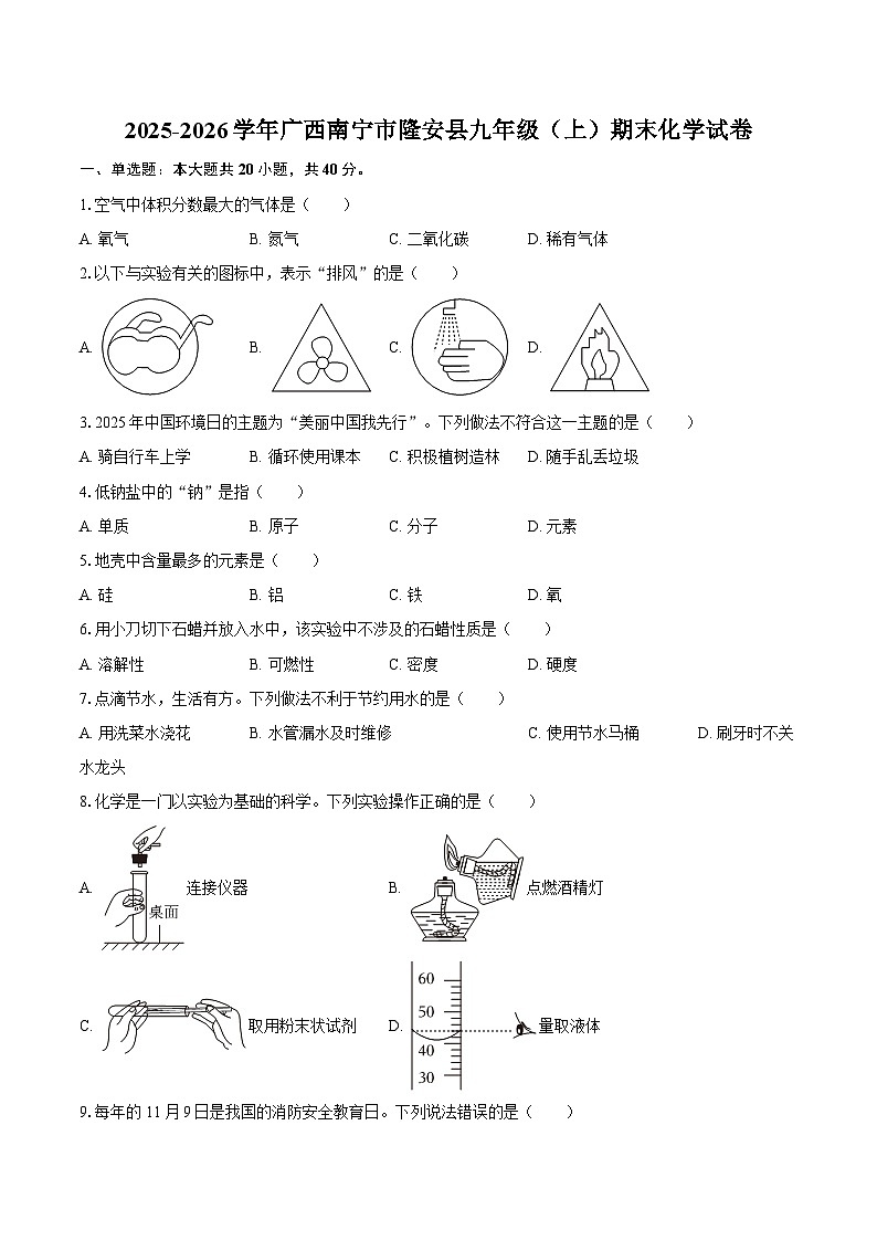 2025-2026学年广西南宁市隆安县九年级（上）期末化学试卷-自定义类型第1页