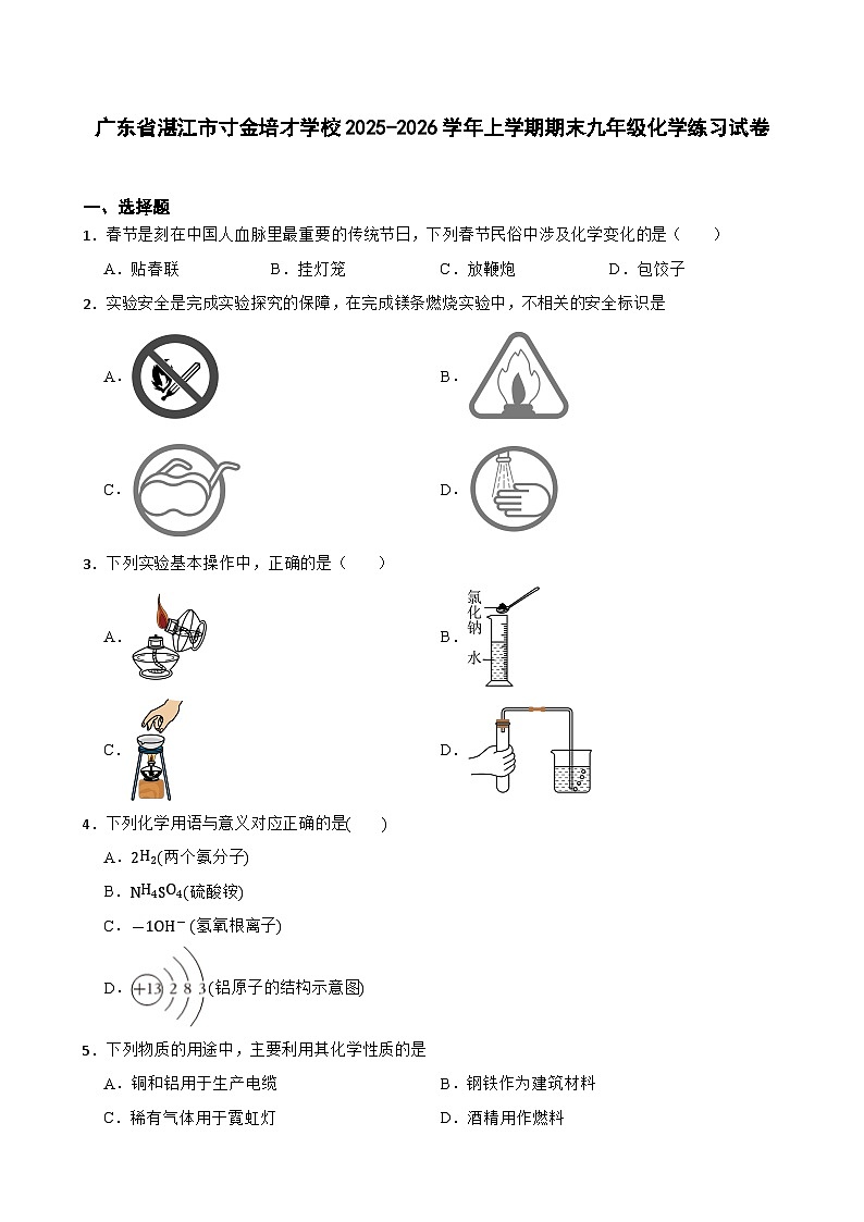 广东省湛江市寸金培才学校2025-2026学年上学期期末九年级化学练习试卷第1页