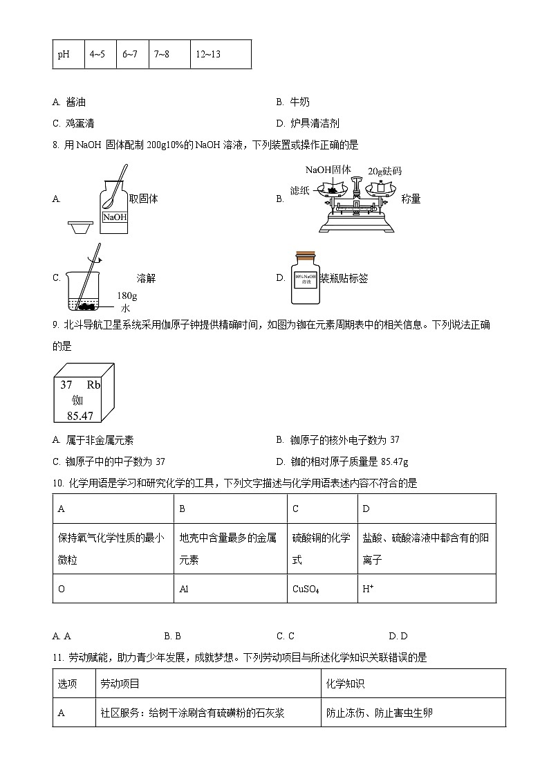 广东省东莞市石龙第三中学九年级下学期第一次月考化学卷（原卷版）-A4第2页