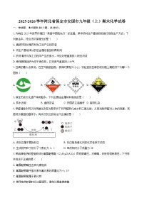 2025-2026学年河北省保定市安国市九年级（上）期末化学试卷-自定义类型