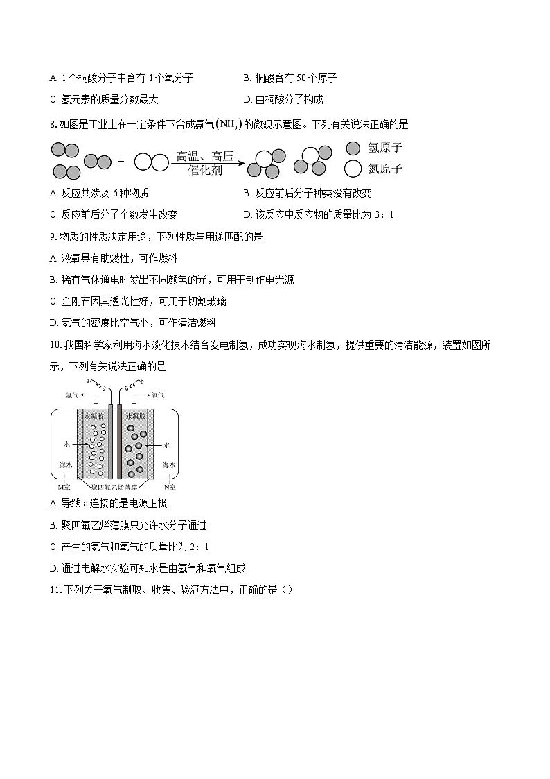 广东省东莞市2025-2026学年九年级上学期1月期末化学试题-自定义类型第2页