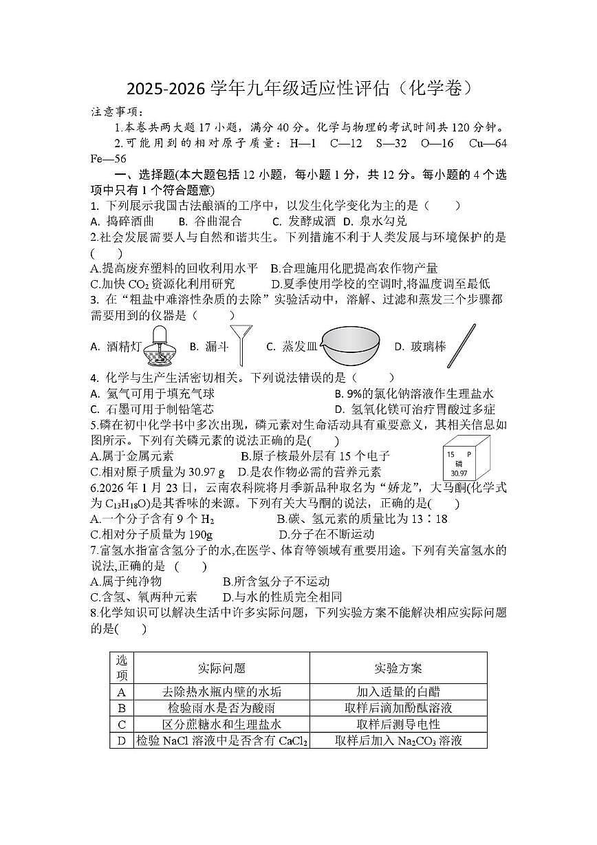 安徽省阜阳市第十五中学2025-2026学年九年级上学期期末测试化学试卷第1页
