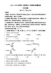 山东省德州市宁津县2025-2026学年八年级上学期期末学情自测化学试卷(有解析)