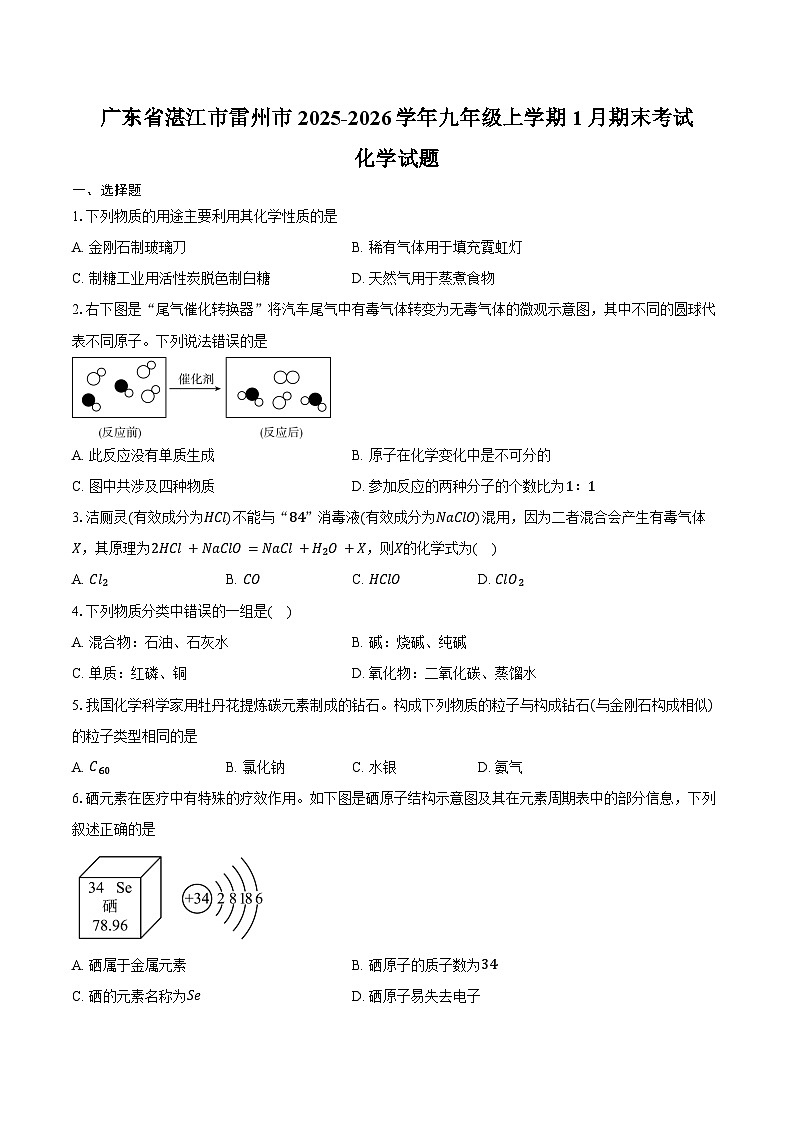 广东省湛江市雷州市2025-2026学年九年级上学期1月期末考试化学试卷（含答案）第1页