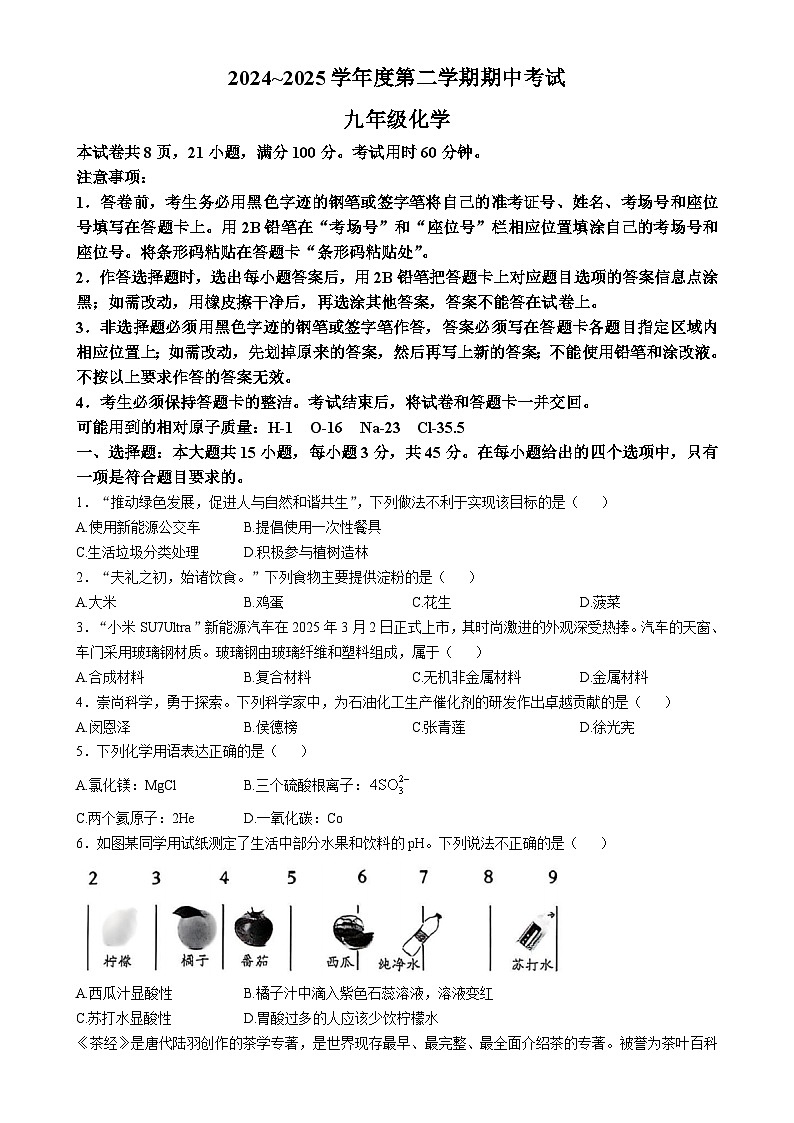 广东省茂名市电白区九年级下学期期中考试化学试题-A4第1页
