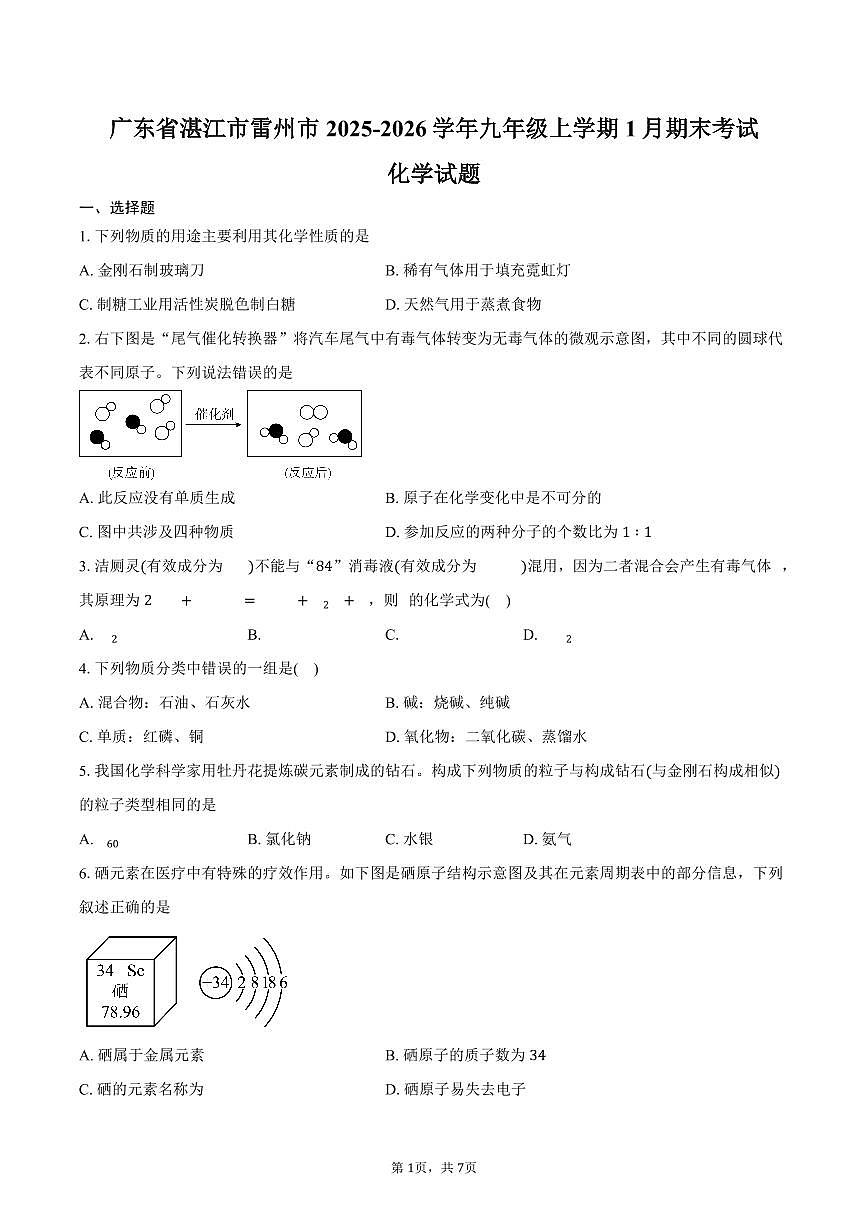 广东省湛江市雷州市2025-2026学年九年级上学期1月期末考试化学试卷（含答案）第1页