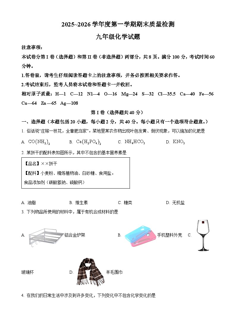 山东省泰安市东平县2025-2026学年九年级上学期期末考试化学试题（原卷+解析）第1页