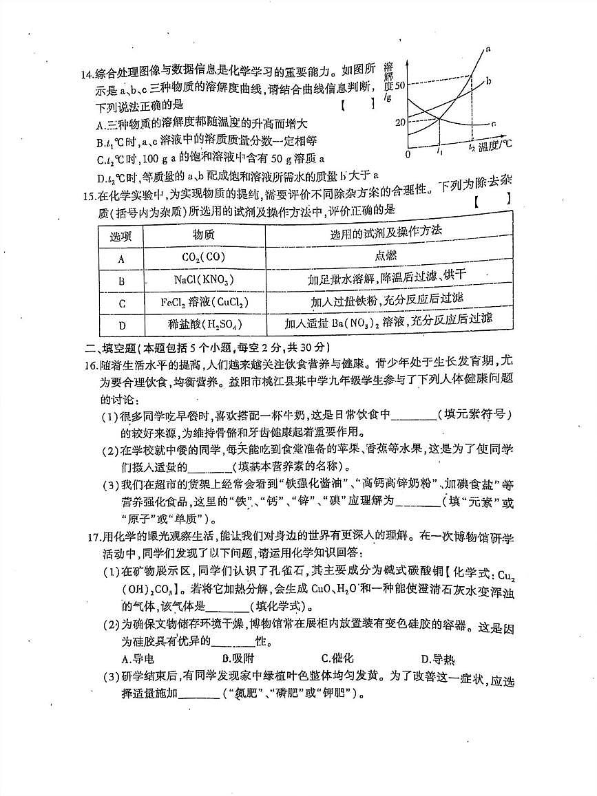 湖南省衡阳市耒阳市童星实验学校2025-2026学年九年级上学期1月期末测试化学试题第3页