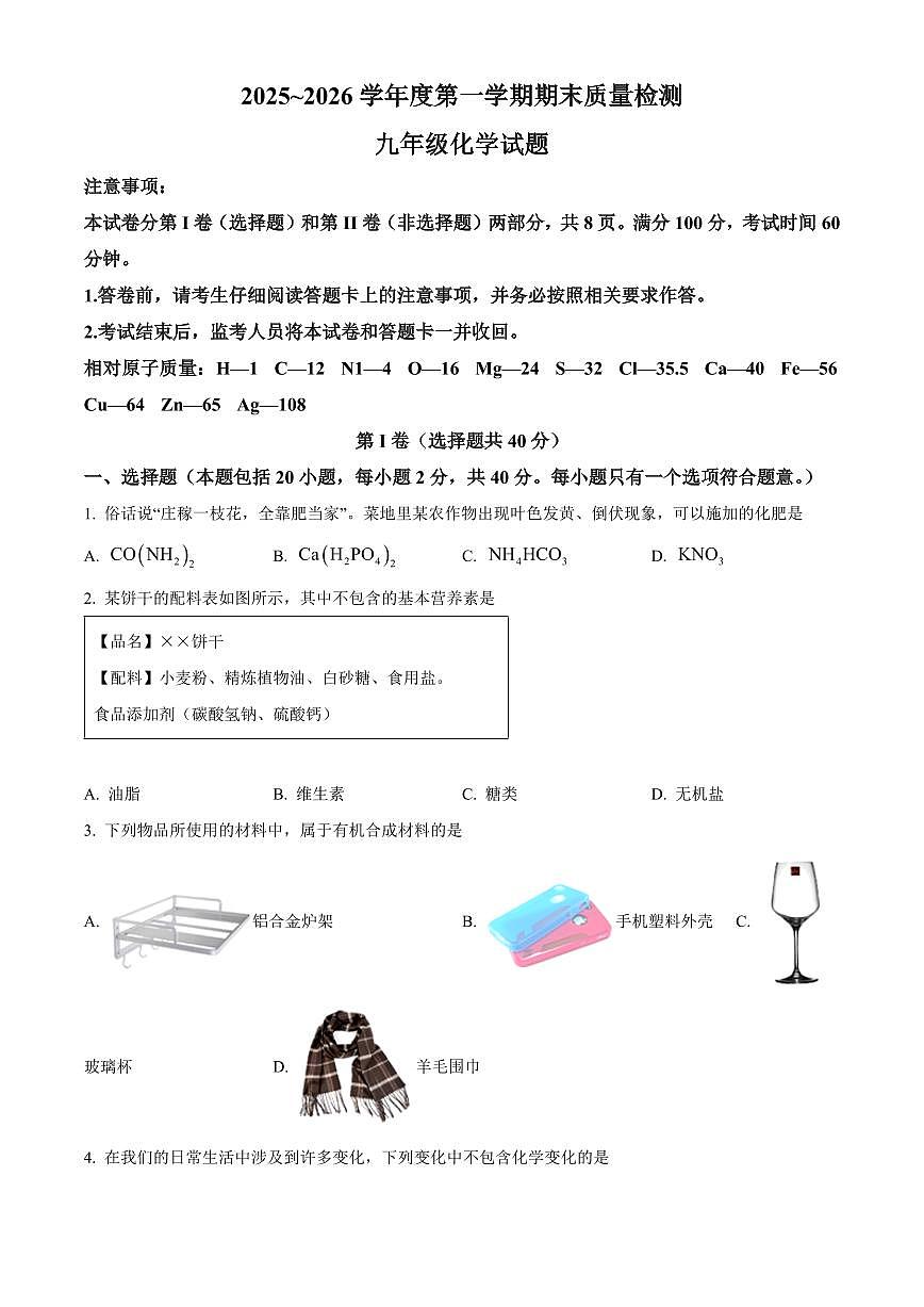 山东省泰安市东平县2025-2026学年九年级上学期期末考试化学试题（原卷+解析）第1页