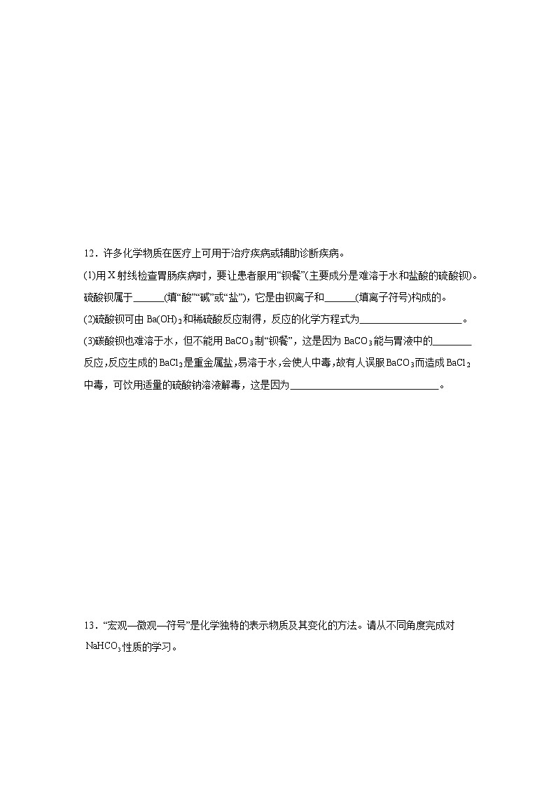 盐的定义练习   中考化学一轮复习（人教版）第3页