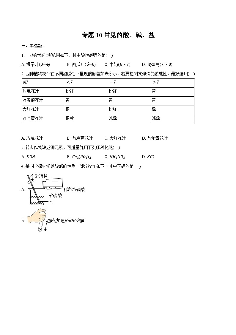 2025年中考化学第一轮复习专题10----常见的酸、碱、盐（江西专用）练习题 （含答案+解析）第1页