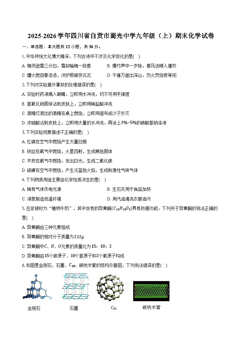 2025-2026学年四川省自贡市蜀光中学九年级（上）期末化学试卷（含答案）第1页