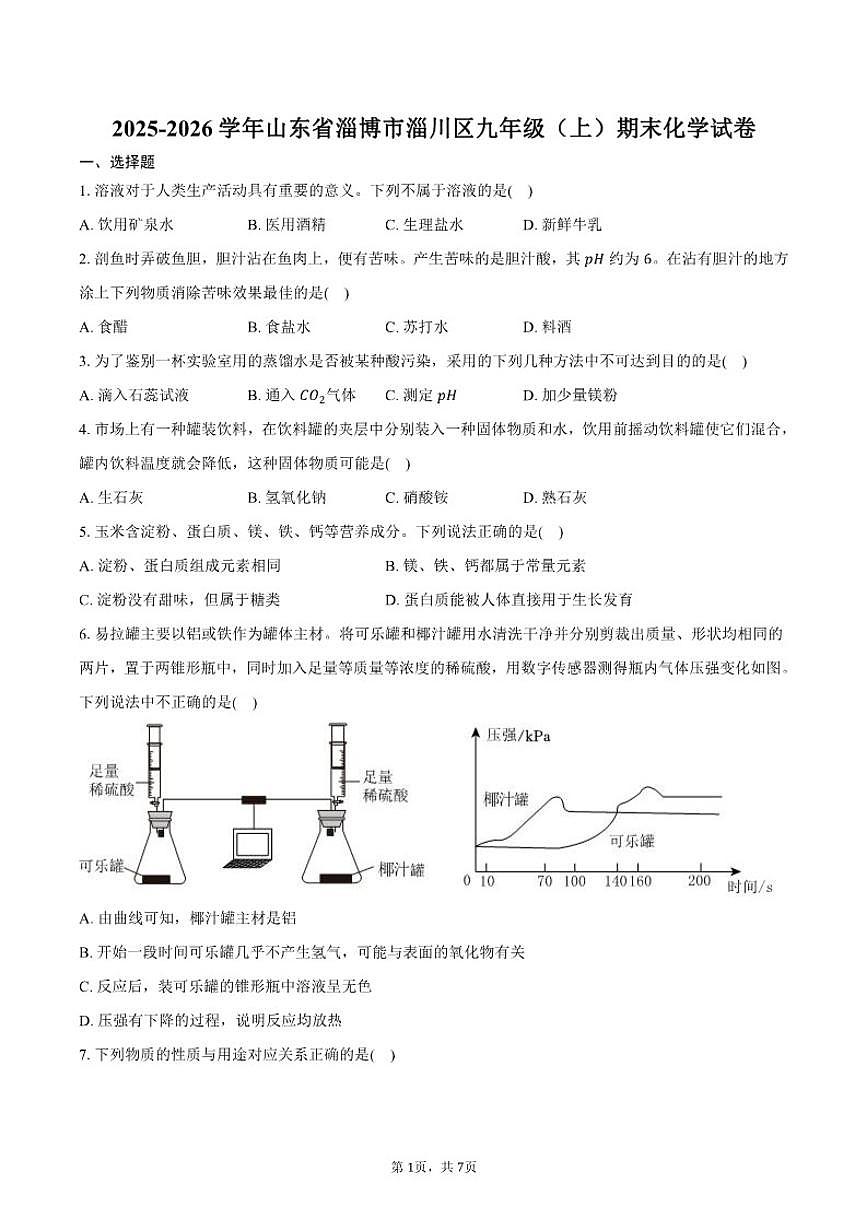 山东省淄博市淄川区2025-2026学年九年级（上）期末化学试卷（含答案）第1页