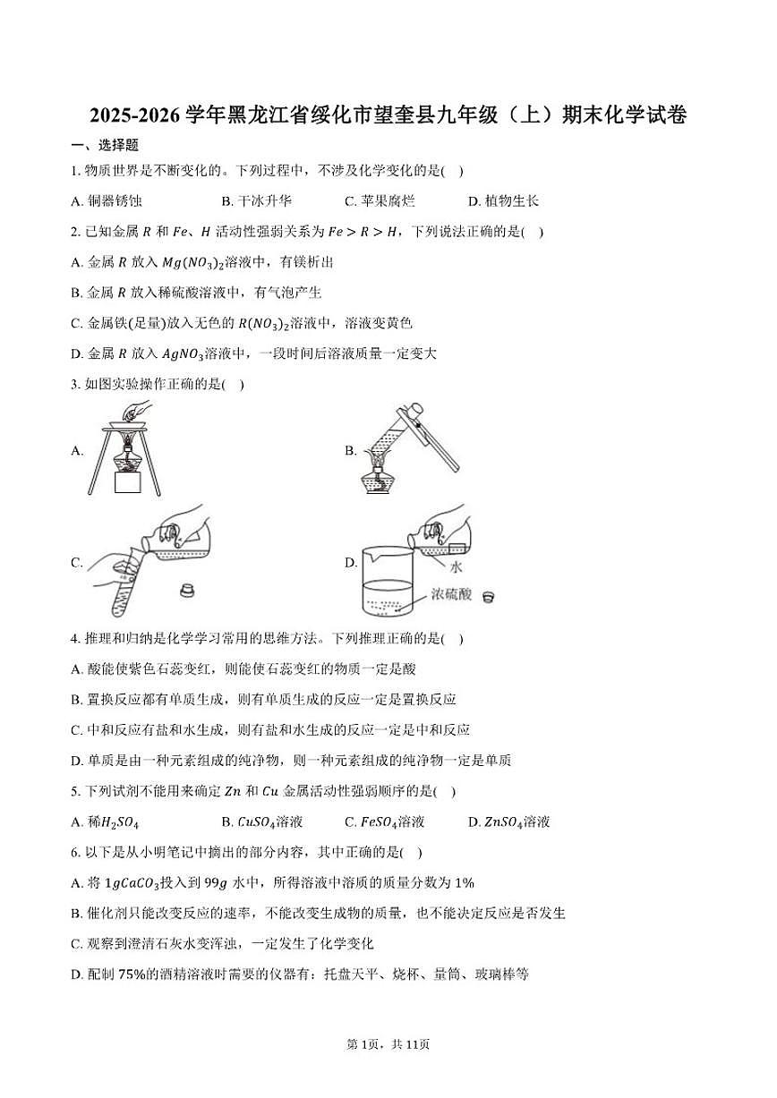 黑龙江省绥化市望奎县2025-2026学年九年级（上）期末化学试卷（含答案）第1页