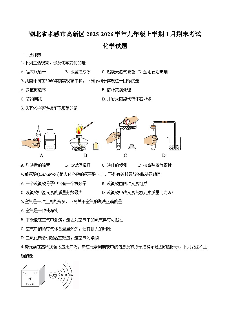 湖北省孝感市高新区2025-2026学年九年级上学期1月期末考试化学试卷（含答案）第1页
