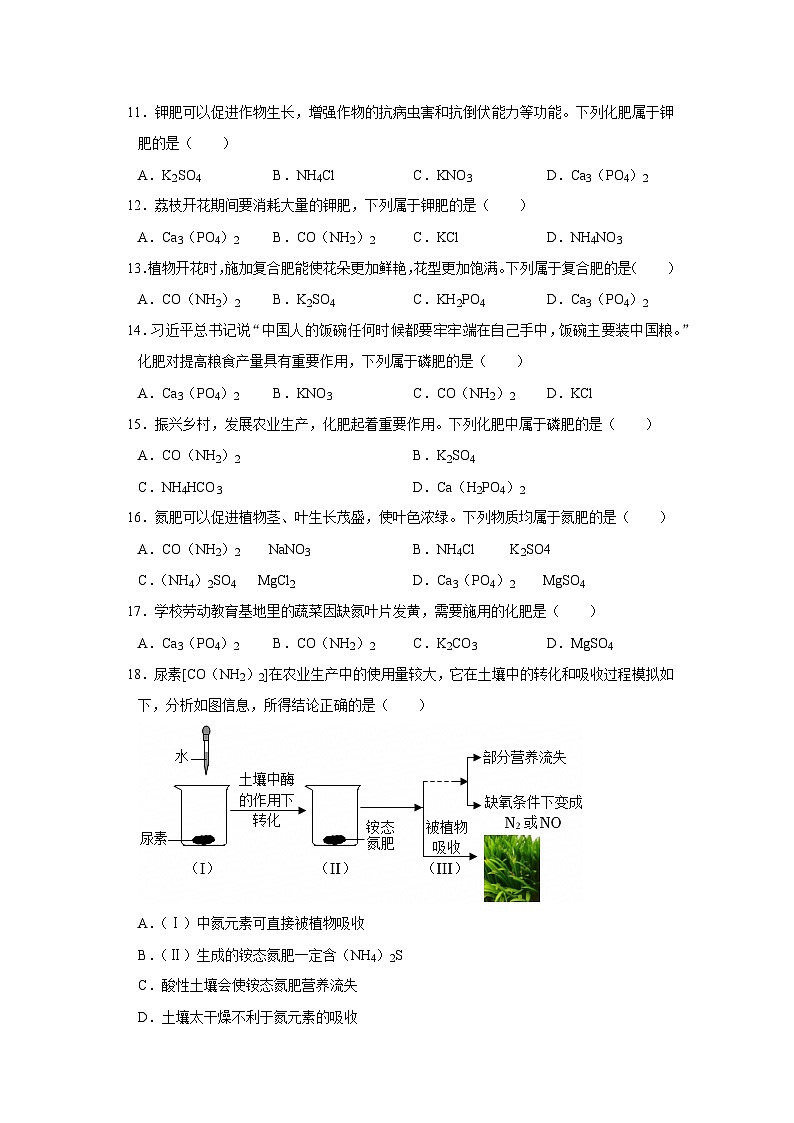 第八单元 8.5 化学肥料 2025-2026学年科粤版2024初中化学九年级下册同步复习讲义（原卷版） 第3页