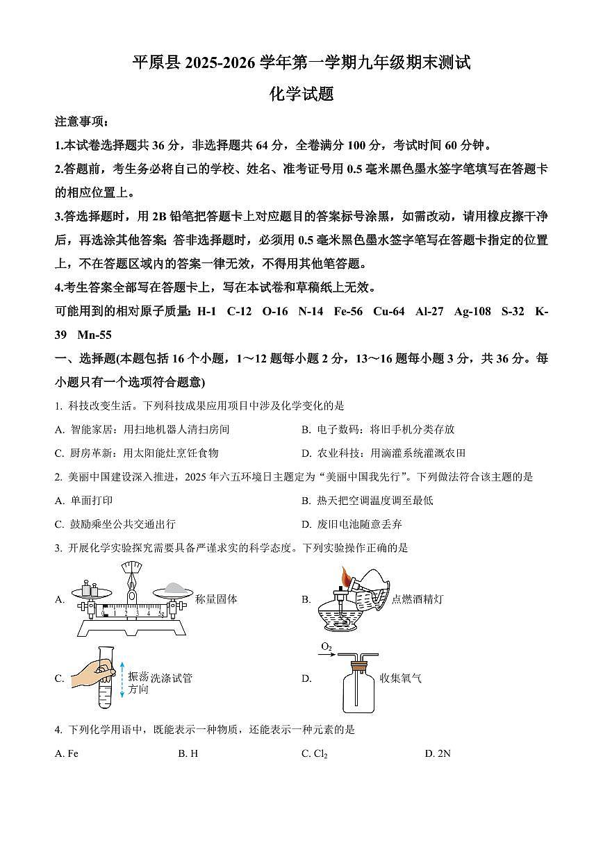 山东省德州市平原县2025-2026学年九年级上学期期末化学试题（试卷+解析）第1页