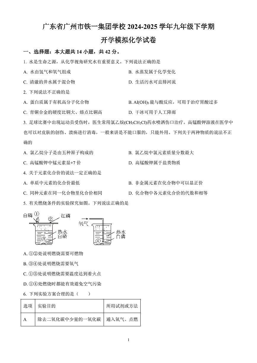 广东省广州市铁一集团学校2024-2025学年九年级下学期开学模拟化学试题含答案第1页