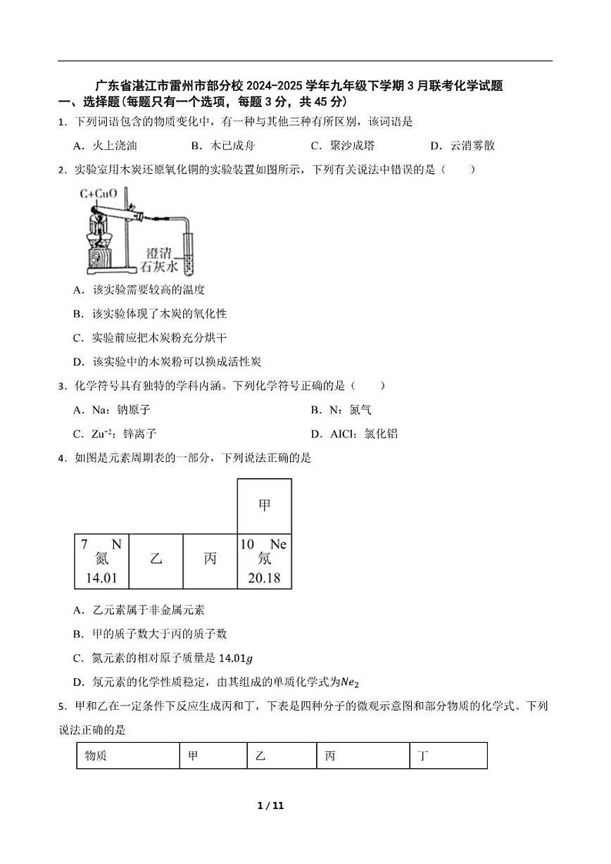 2024-2025学年广东省湛江市雷州市部分校九年级下学期3月联考化学试题（含答案）第1页