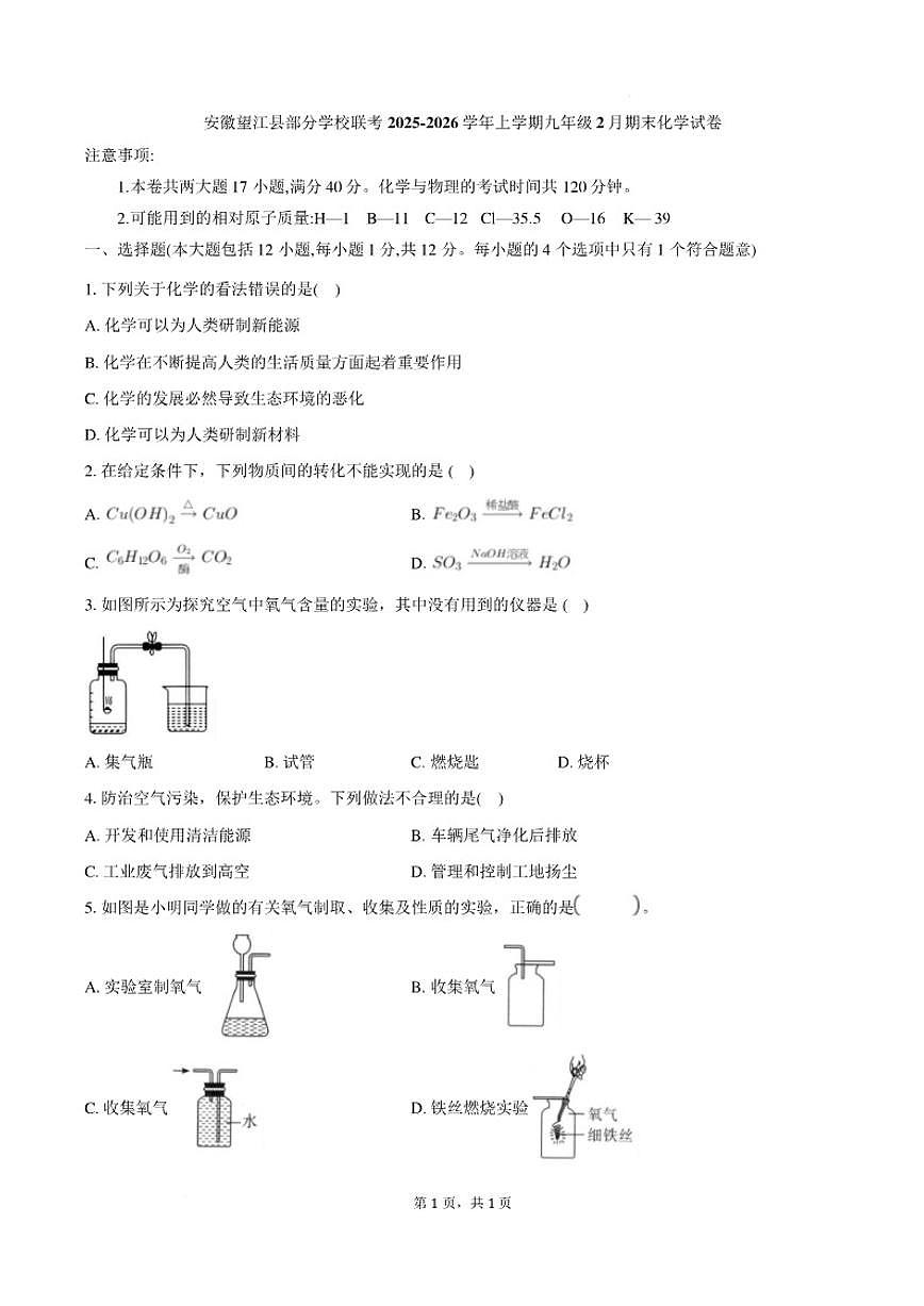 2025-2026学年安徽省安庆市望江县部分学校九年级上学期2月期末联考化学（含答案）试卷第1页