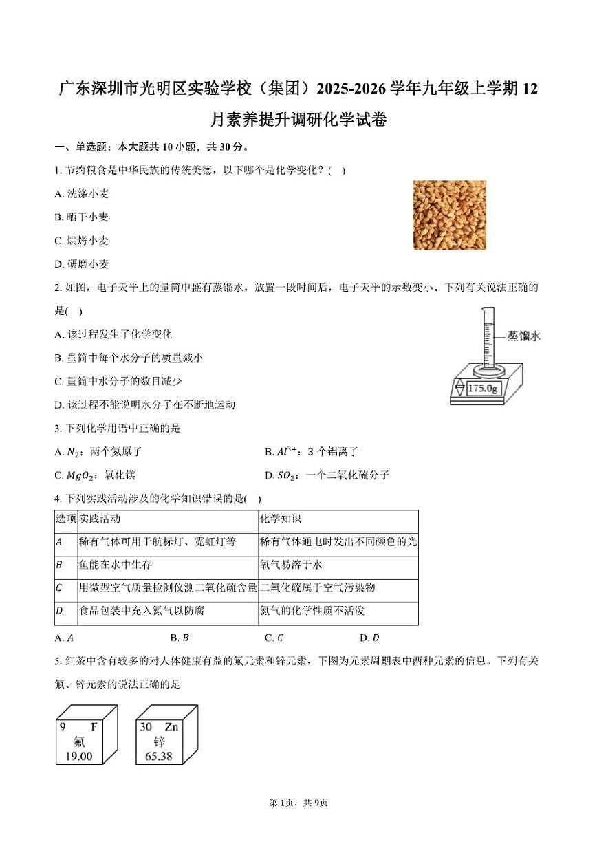 2025-2026学年广东深圳市光明区实验学校（集团）九年级上学期12月素养提升调研化学（含答案）试卷第1页