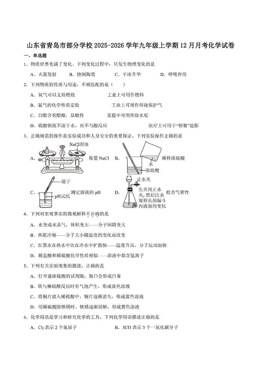 2025-2026学年山东省青岛市部分学校九年级上学期12月月考化学试卷（含答案）第1页