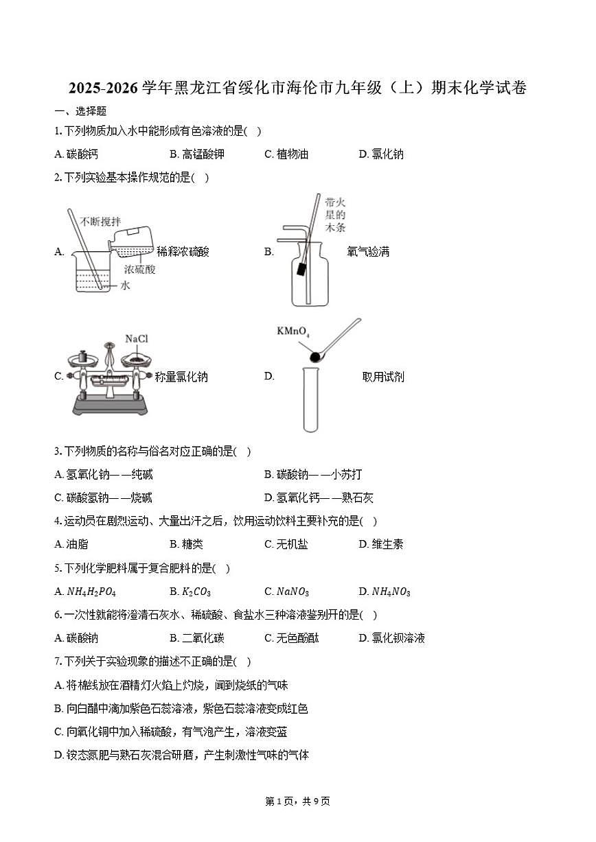 2025-2026学年黑龙江省绥化市海伦市九年级（上）期末化学试卷（含答案）第1页