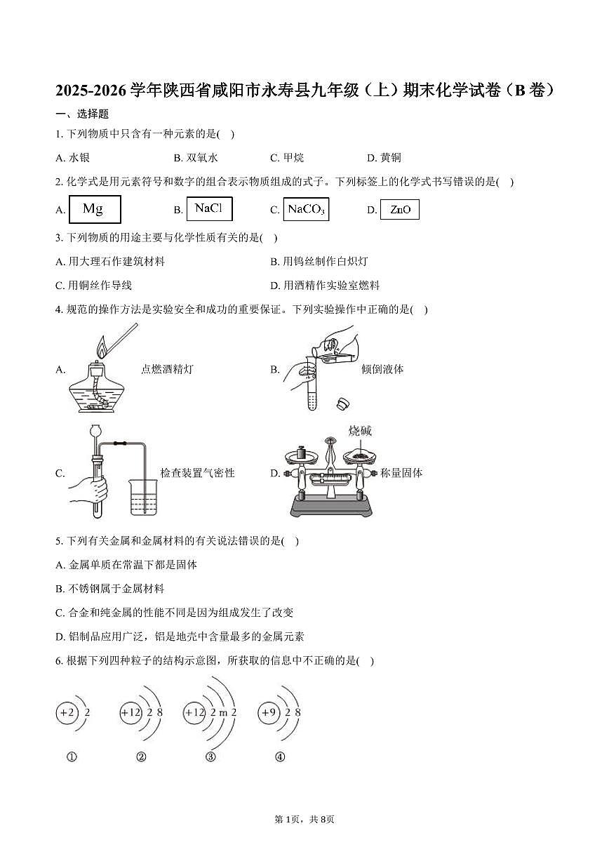 2025-2026学年陕西省咸阳市永寿县九年级（上）期末化学试卷（B卷）（含答案）第1页