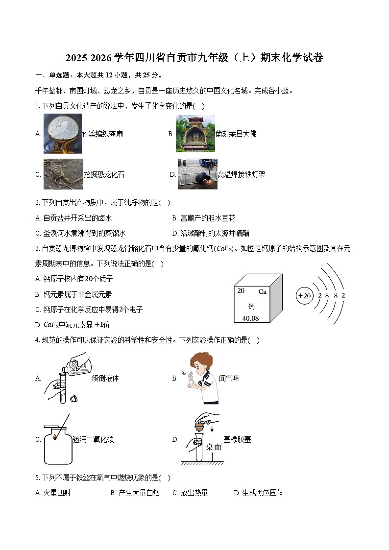2025-2026学年四川省自贡市九年级（上）期末化学试卷（含答案）第1页