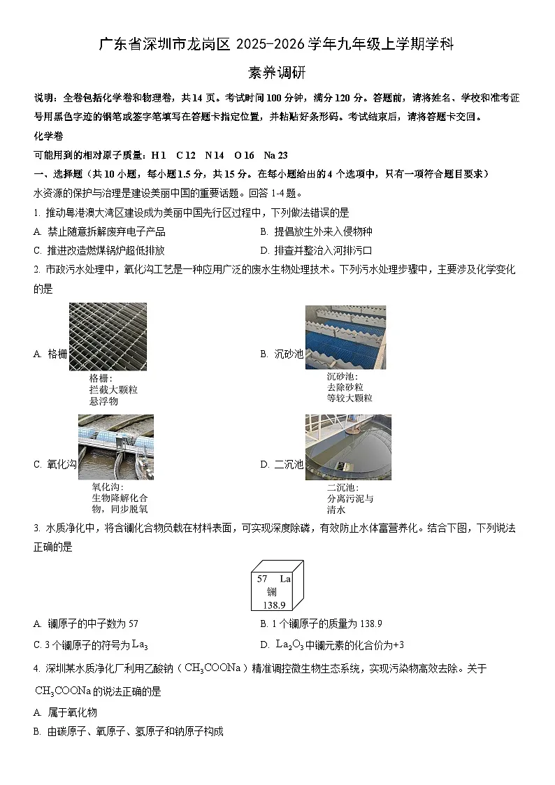 2025-2026学年广东省深圳市龙岗区九年级上学期期末学科素养调研化学试卷（学生版）第1页