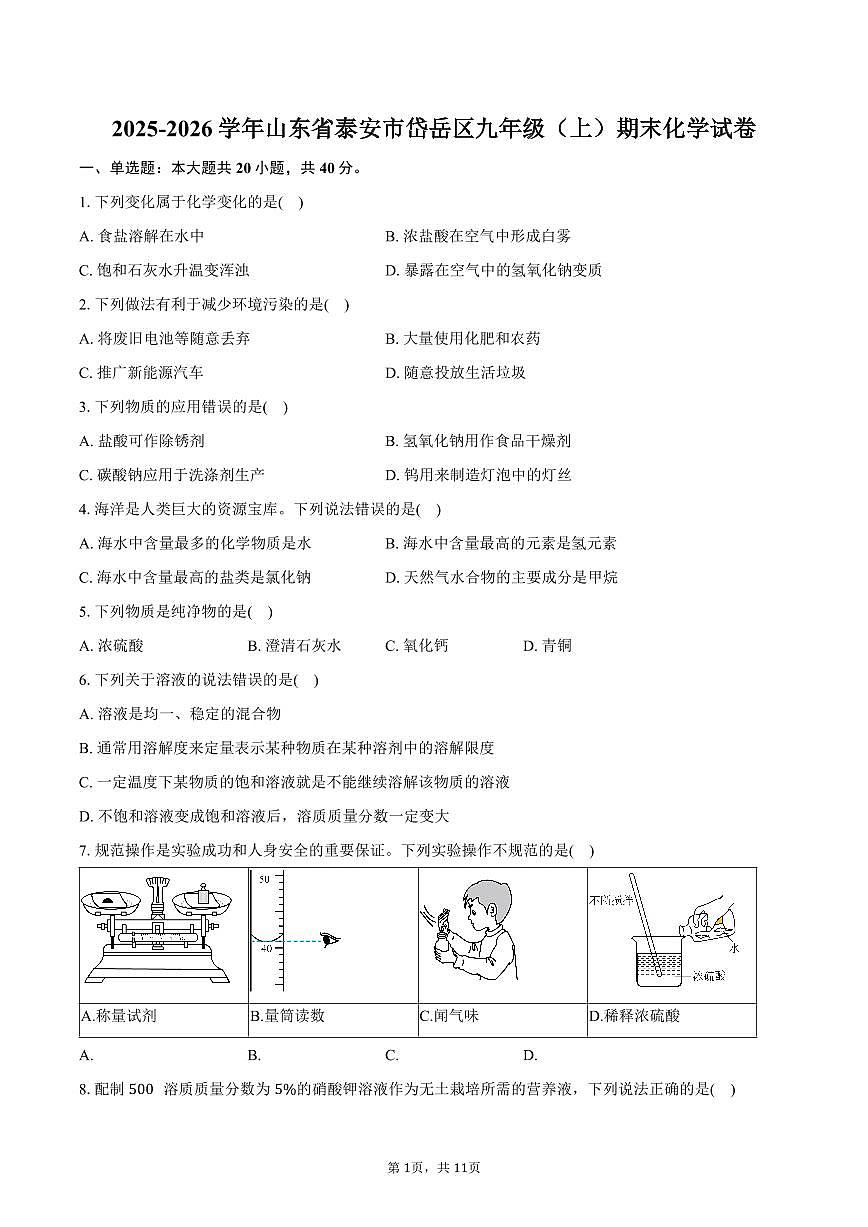 2025-2026学年山东省泰安市岱岳区九年级（上）期末化学试卷（含答案）第1页