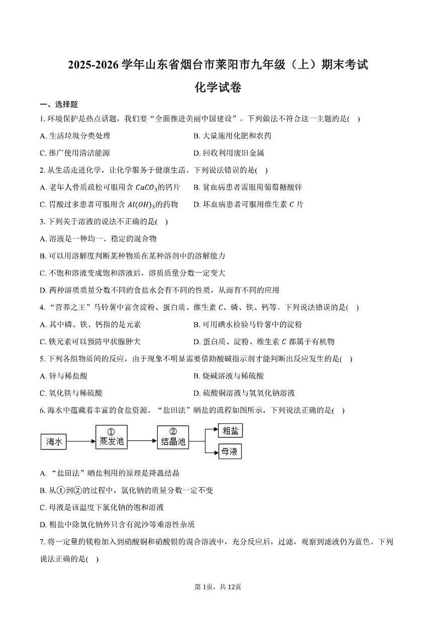 2025-2026学年山东省烟台市莱阳市九年级（上）期末化学试卷（含答案）第1页