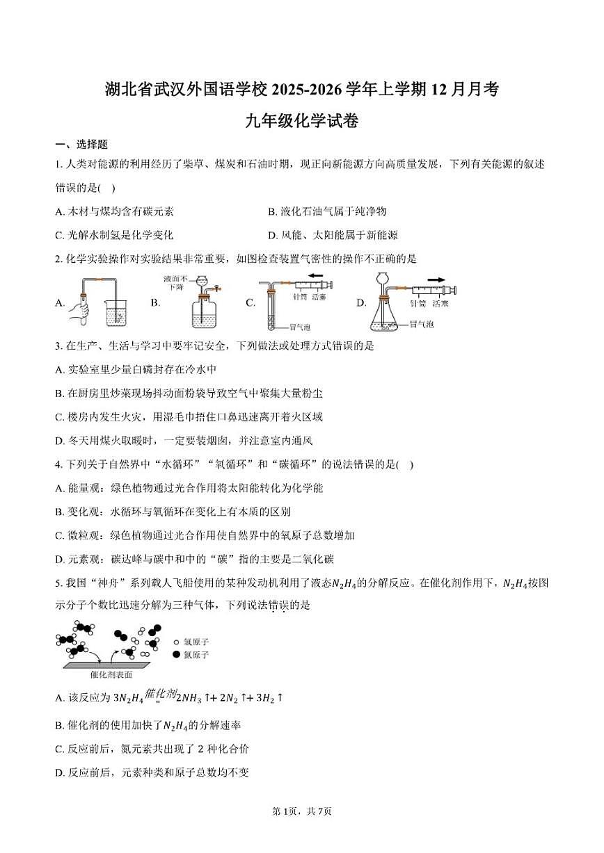 2025-2026学年湖北省武汉市武汉外国语学校上学期12月月考九年级化学试卷（含答案）第1页