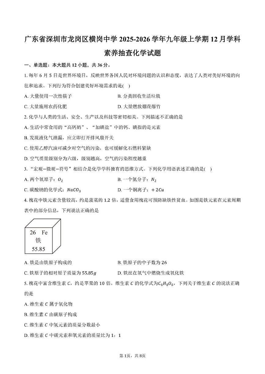 2025-2026学年广东省深圳市龙岗区横岗中学九年级上学期12月学科素养抽查化学试卷（含答案）第1页