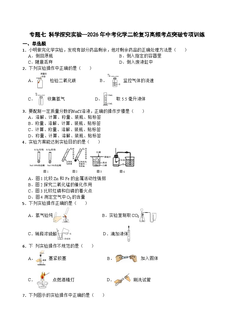 专题七 科学探究实验—2026年中考化学二轮复习高频考点突破专项训练含答案第1页