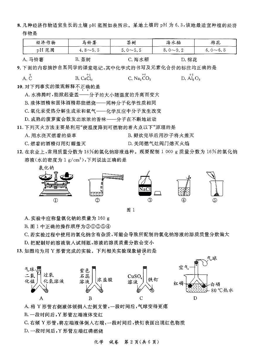 2025年广西来宾市兴宾区中考三模化学试题第2页