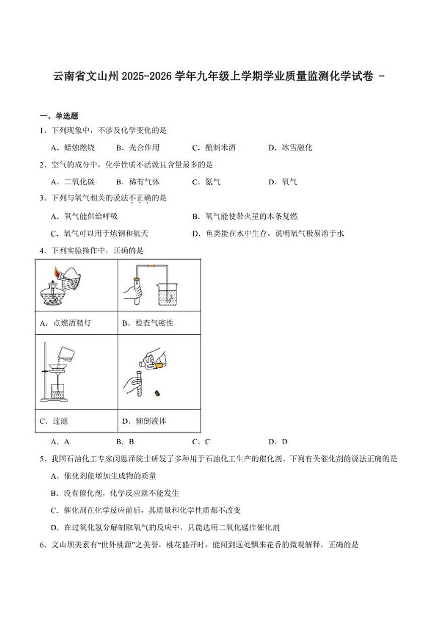 2025-2026学年云南省文山州九年级上学期期末学业质量监测化学_(含答案_)试卷 (2)第1页