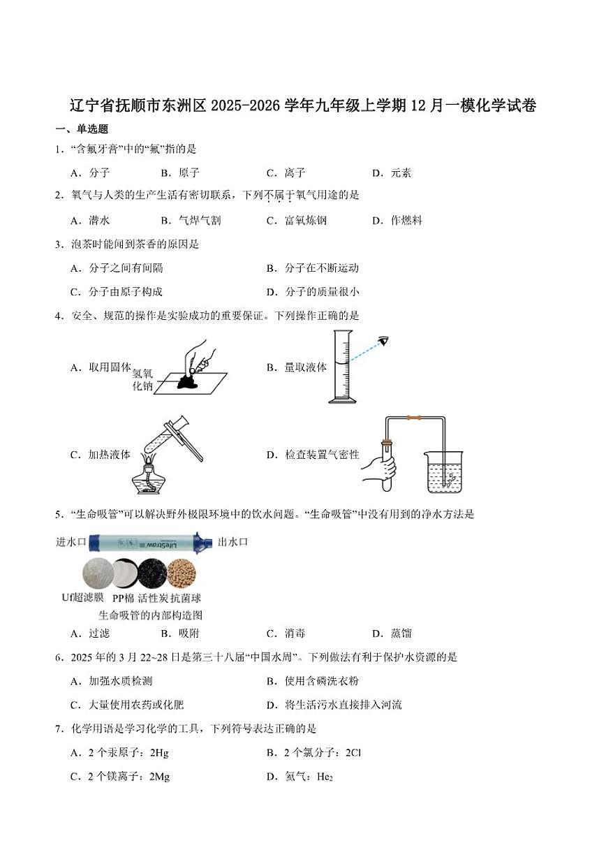 2025-2026学年辽宁省抚顺市东洲区九年级上学期12月一模化学试卷（含答案）第1页