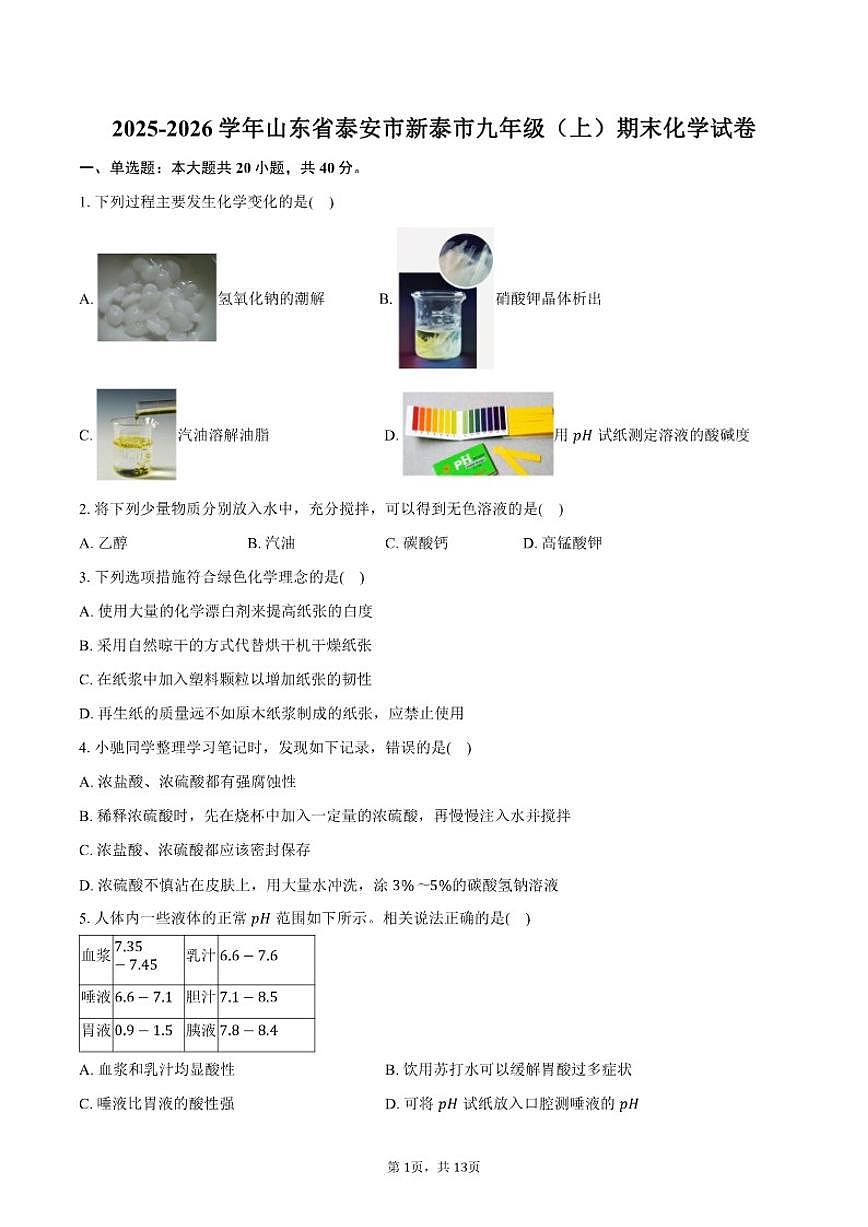 山东省泰安市新泰市2025～2026学年九年级(上)期末化学试卷(含答案)第1页