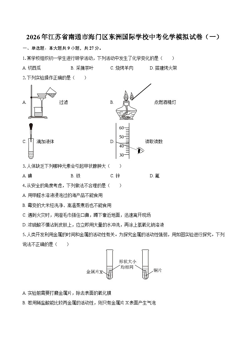 2026年江苏省南通市海门区东洲国际学校中考化学模拟试卷（一）-自定义类型第1页