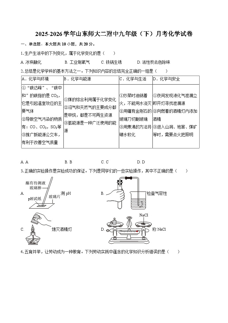 2025-2026学年山东师大二附中九年级（下）月考化学试卷-自定义类型第1页