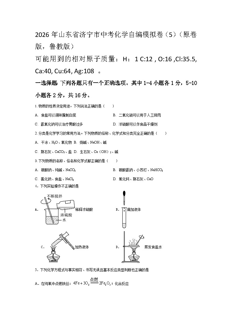 2026年山东省济宁市中考化学自编模拟卷（5）（原卷版，鲁教版）第1页
